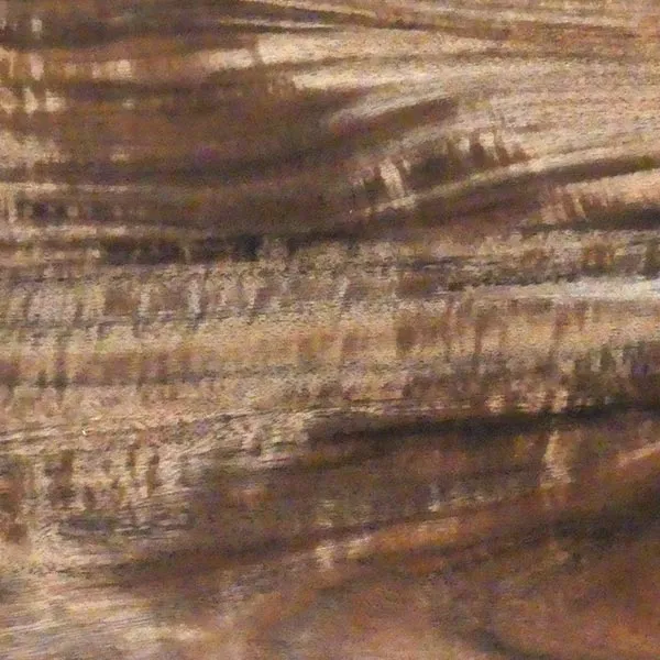 Aged Paperbark