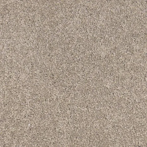 Amazon Stone