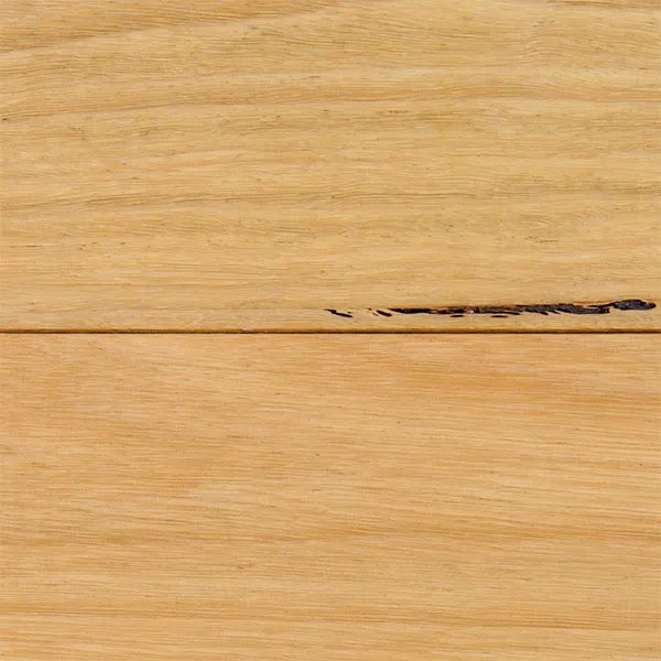 Australian Blackbutt