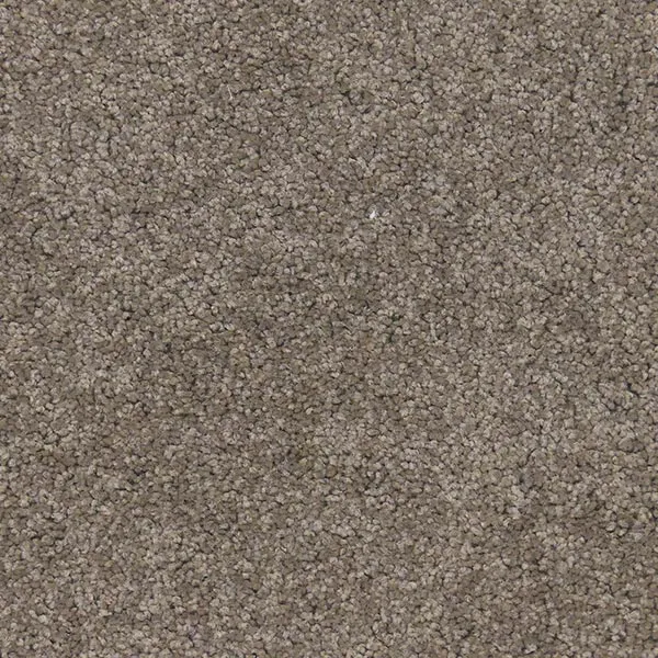 Desert Brown