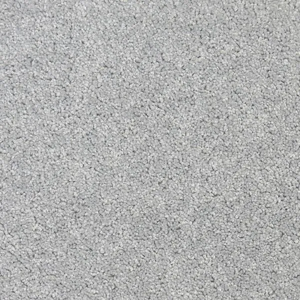 Elanus Grey