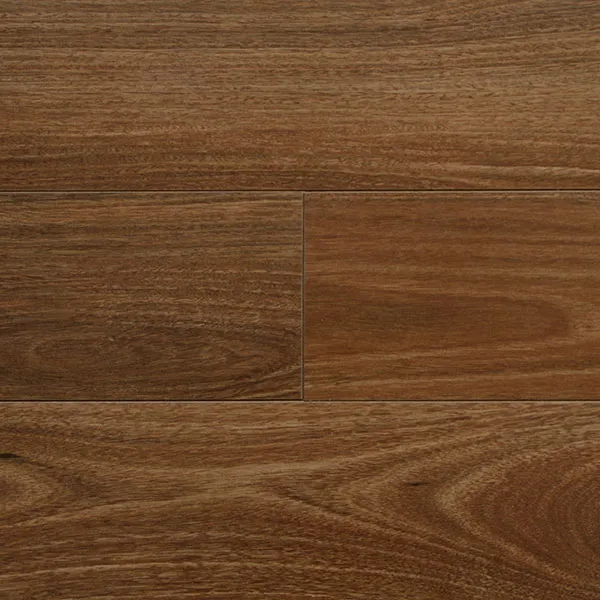 Beleura Spotted Gum
