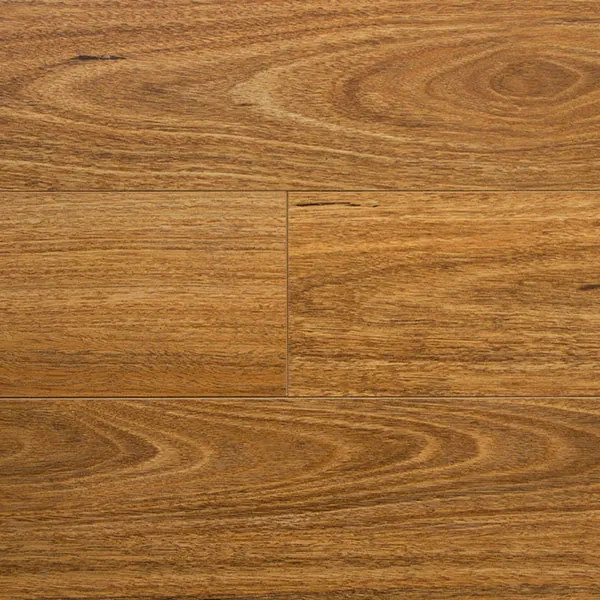 Jacana Spotted Gum