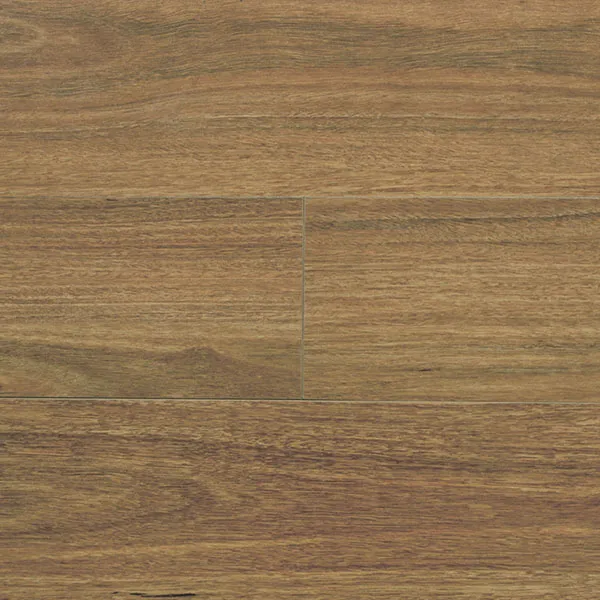 Wilson Spotted Gum