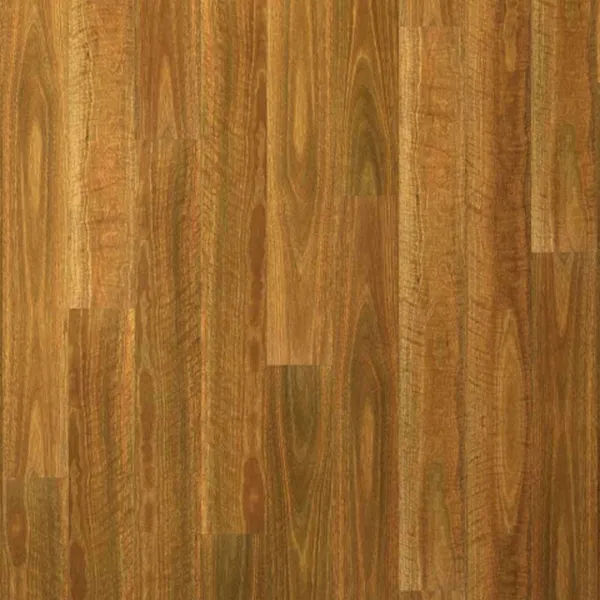 NSW Spotted Gum