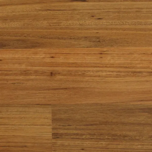 NanoTAC Blackbutt