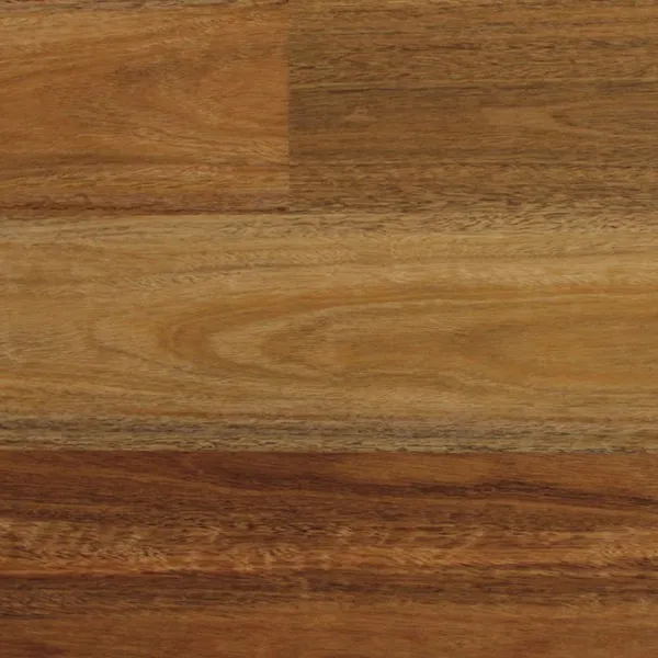 NanoTAC Spotted Gum
