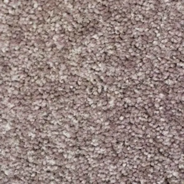 Nevada Bark