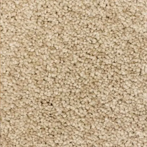 Ocean Calico