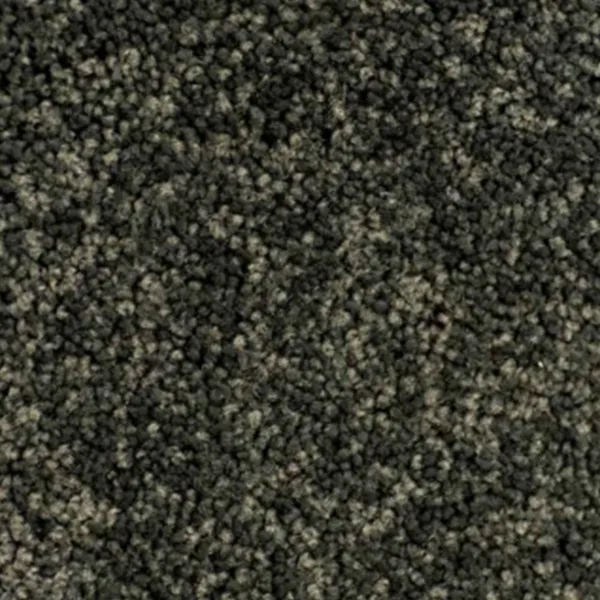 Ocean Moss