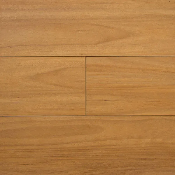 Boneo Blackbutt