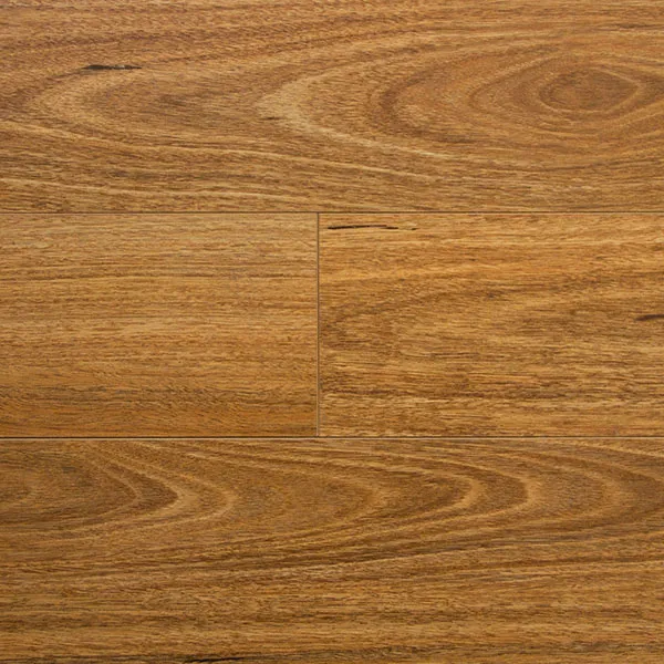 Dromana Spotted Gum