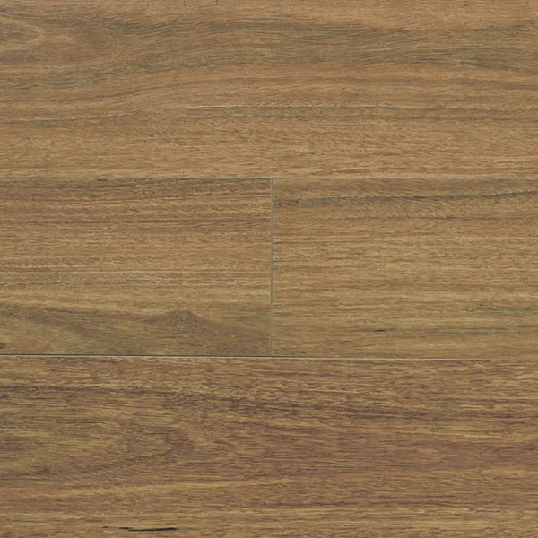 Portsea Spotted Gum