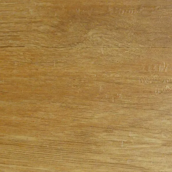 Queensland Blackbutt