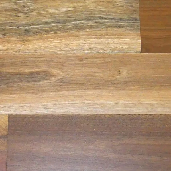 Spotted Gum