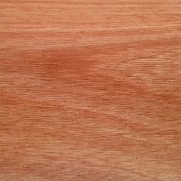 Sydney Blue Gum