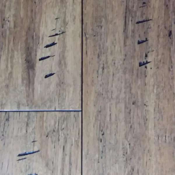 T1